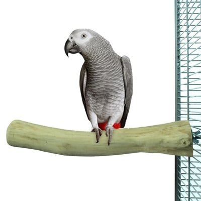Back Zoo Nature Java Perch Ca. 30X3-4 Cm