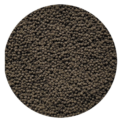 Utopia Goudviskorrel Zinkend 350 Ml