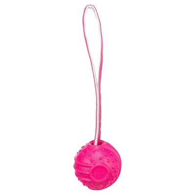 Trixie Werpbal Soft & Strong Tpr Roze 29X7,5X7,5 Cm