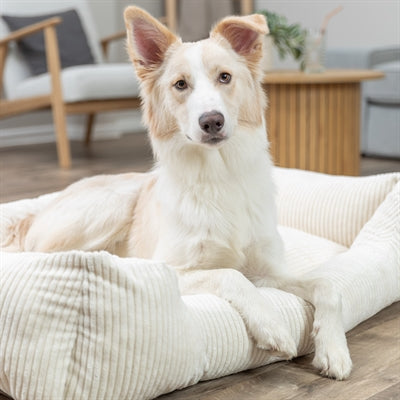 Trixie Vital Hondenmand Jonna Hoekig Ribfluweel Creme 120X80 Cm