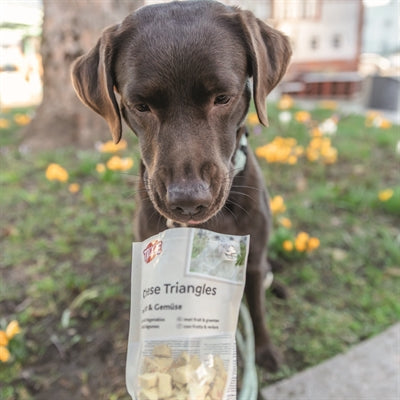 Trixie Cheese Triangles Met Fruit En Groenten 80 Gr