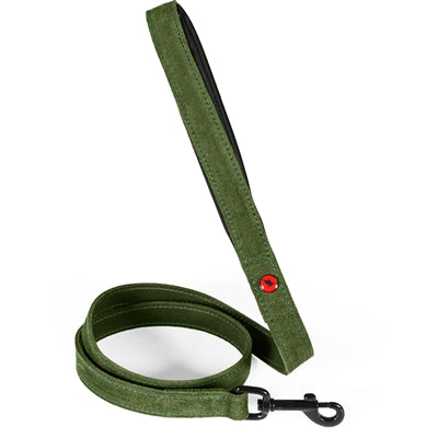 Zolux Expert Hondenriem Premium Leer / Neopreen Groen 100X2 Cm
