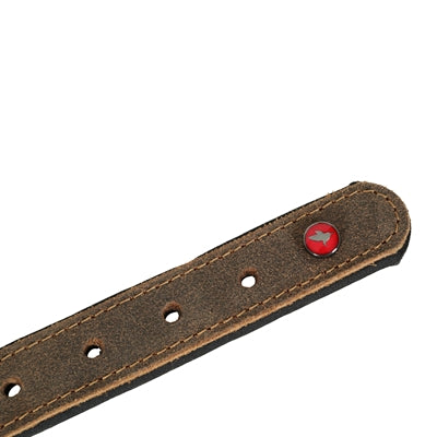 Zolux Expert Halsband Hond Premium Leer / Neopreen Bruin 70X3 Cm