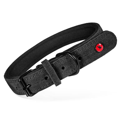 Zolux Expert Halsband Hond Premium Leer / Neopreen Zwart 80X3 Cm