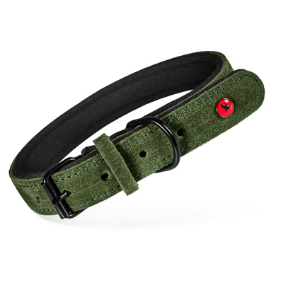 Zolux Expert Halsband Hond Premium Leer / Neopreen Groen 45X1,8 Cm