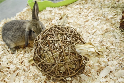 Nature First Happy Pet Speelbal Wilg Nature First 17X17X17 Cm
