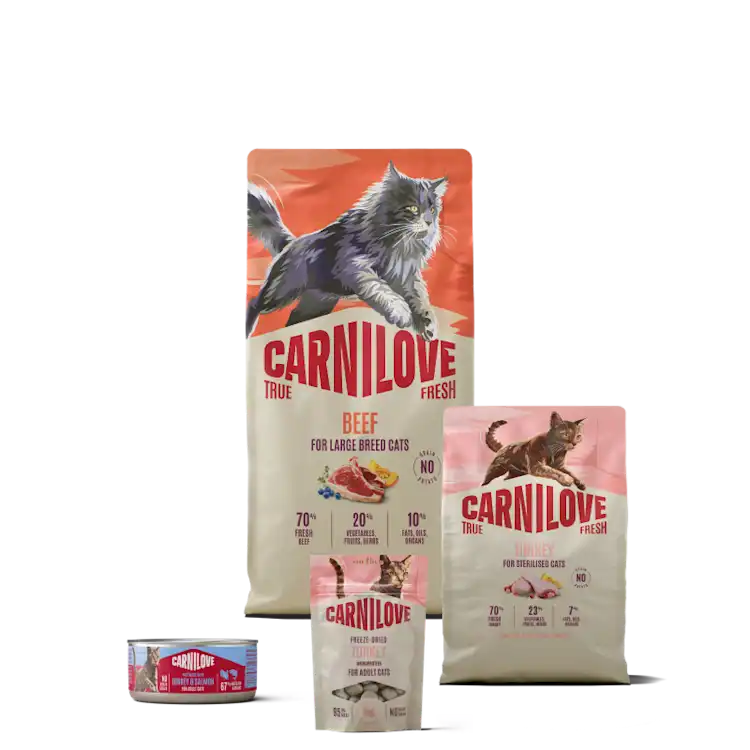 petsorama carnilove all cat food