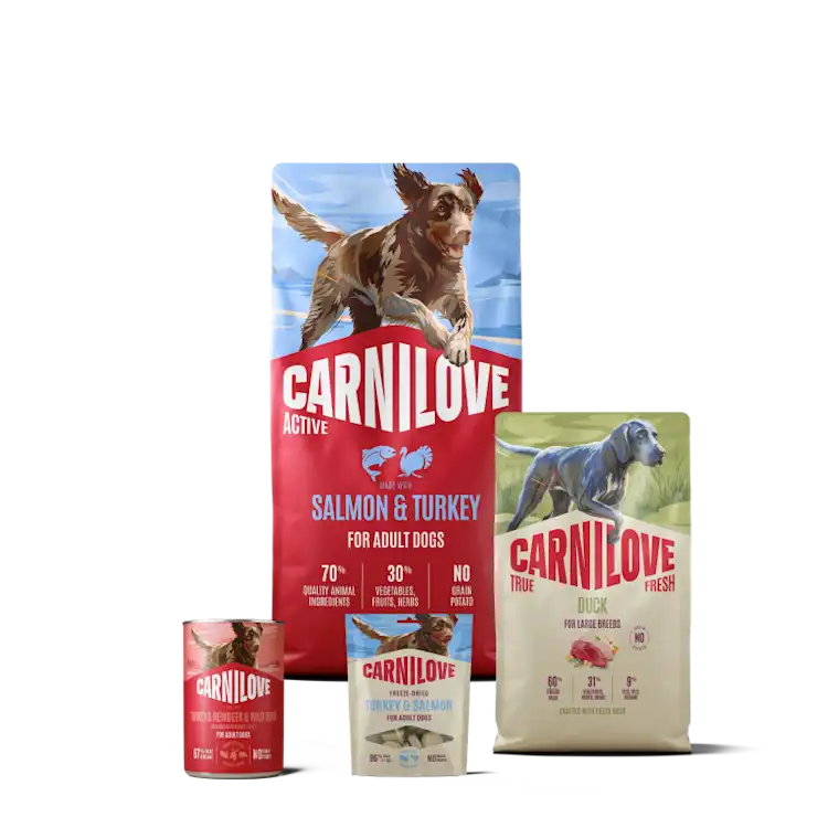 petsorama carnilove all dog food
