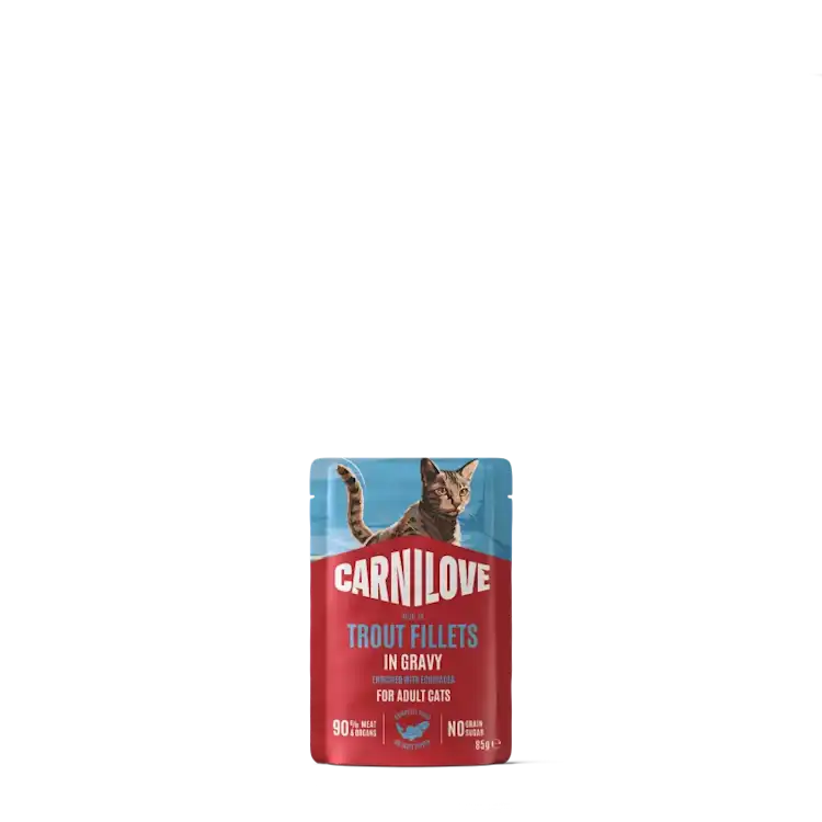 petsorama carnilove cat wet food