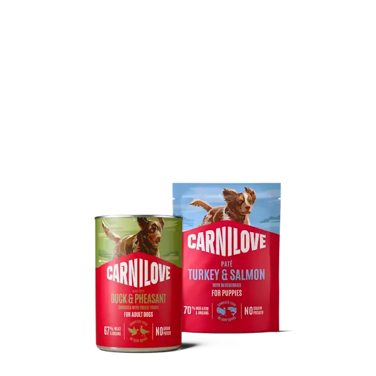 petsorama carnilove dog wet food