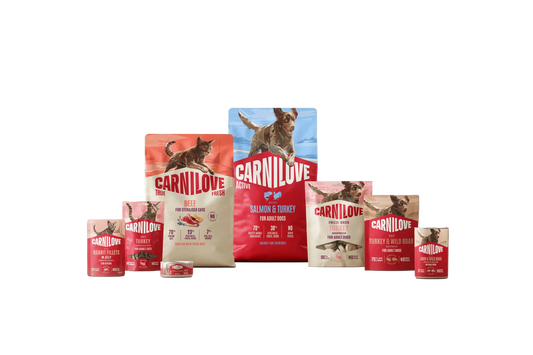 Voordeelpakket Carnilove droogvoer en snacks