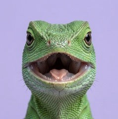 petsorama category reptiles